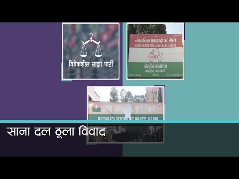 साना दलमा ठूला विवाद: कुनै विभाजित, कुनै तयारीमा ! 