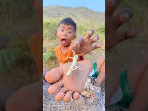 Survival Skills: SMART idea and USEFUL with single mom #bushcraft #camping #outdoors