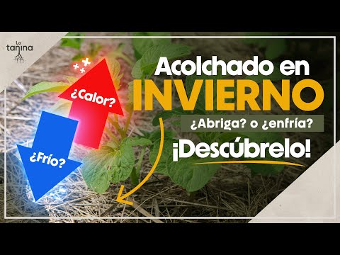 Acolchado en Invierno: ¿ABRIGA o ENFRÍA el Suelo? ❄️🔥