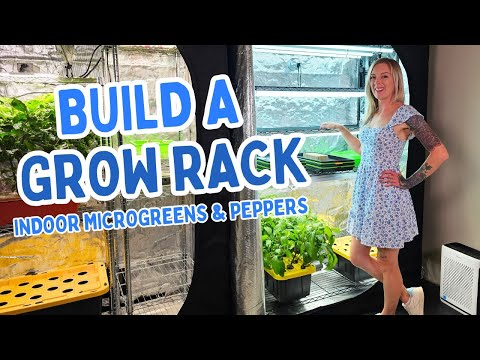 How to Set Up an Indoor Grow Rack for Microgreens & Peppers