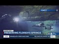 Florida Springs Environmental Issues