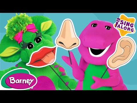 The Five Senses Song | Learning Body Parts for Kids | Barney Nursery Rhymes and Kids Songs