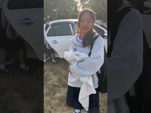 ใบข้าวจะเอาบราวนี่ไปเรียนด้วย #dog #cute #funny #family #funny #comedy #ใบข้าว