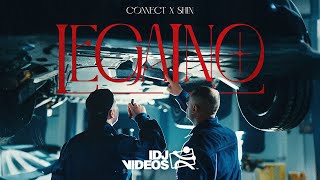 CONNECT X SHIN - LEGALNO (OFFICIAL VIDEO)