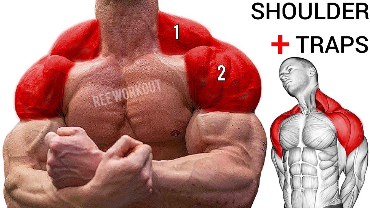 Best Shoulder and Traps Exercises for Massive Shoulder Gains