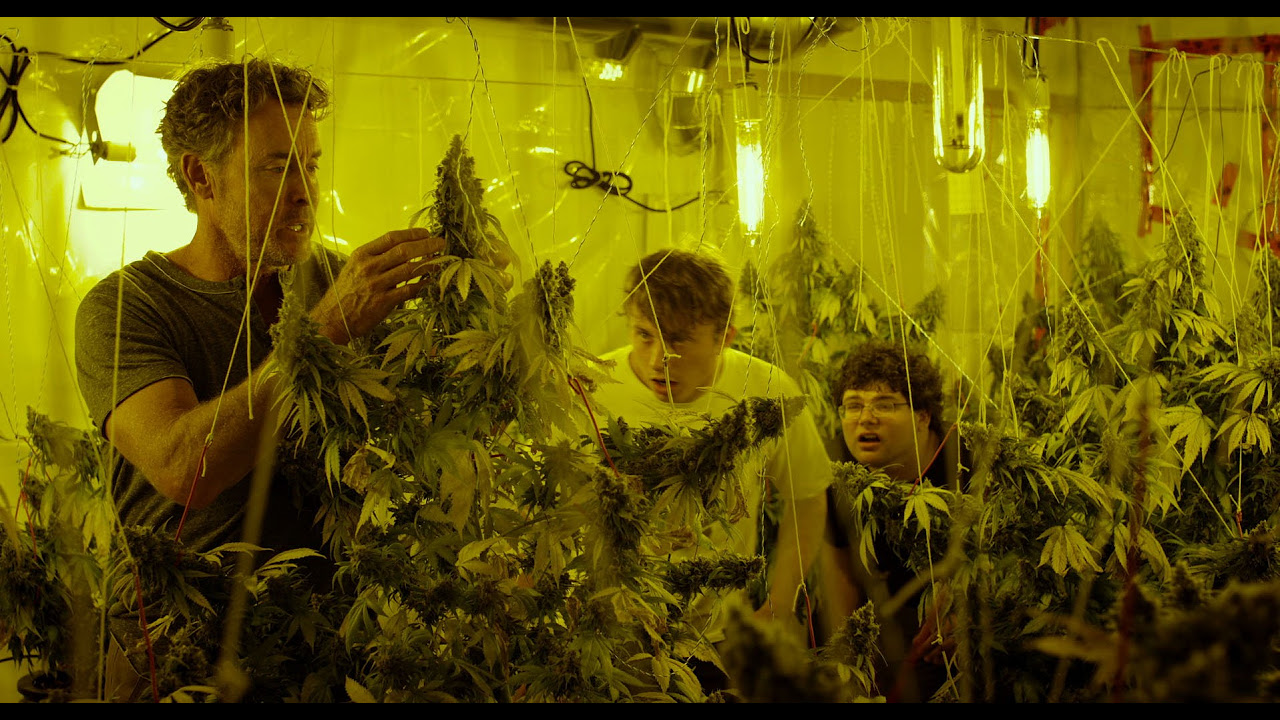Cannabis Kid Vorschaubild des Trailers