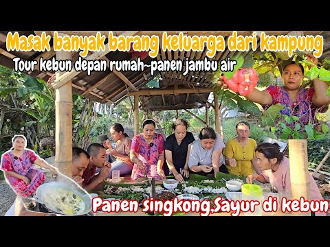 MASAK BANYAK PAKEK TUNGKU‼️TOUR KEBUN DI DEPAN RUMAH || PANEN JAMBU AIR~RUJAKAN BARENG KELUARGA &TWL