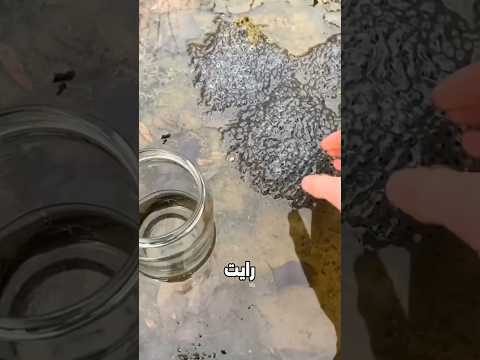 لا تأخذ هذا الشئ معك إلى المنزل أبدا 😱