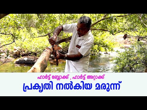 ഹാർട്ട് ബ്ലോക്ക് , ഹാർട്ട് അറ്റാക്ക് പ്രകൃതി നൽകിയ മരുന്ന്