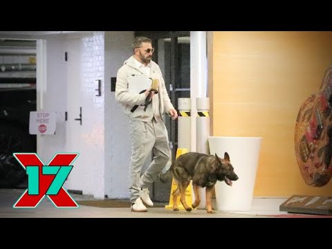 Ben Affleck Keeps Busy Amid House Hunt, Arrives At Hollywood Office With Guard Dog