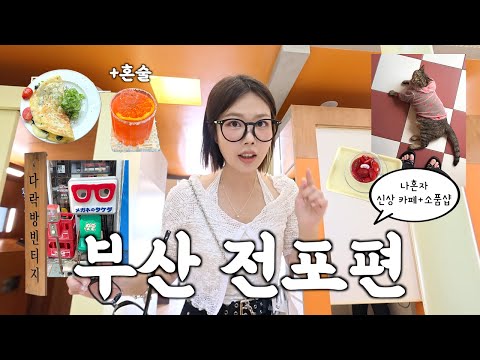 나혼자 부산 [전포편] 신상 카페 보물찾기••덴바 브런치,소품샵,기푸토,다락방빈티지,지즈