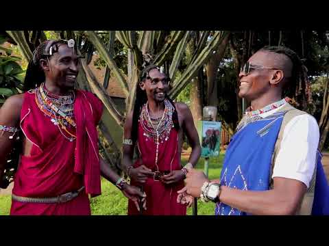 Incredible Moments From A Kenya Game Drive