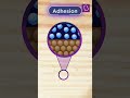 Understanding Water Drops: Cohesion and Adhesion