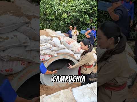 Thủ tướng Thái Lan Paetongtarn Shinawatra đã có chuyến thị sát tại vùng biên giới giáp Campuchia