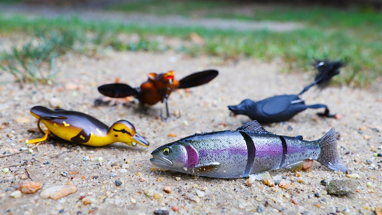 Top 6 Never Before SEEN Fishing Lures of 2017!