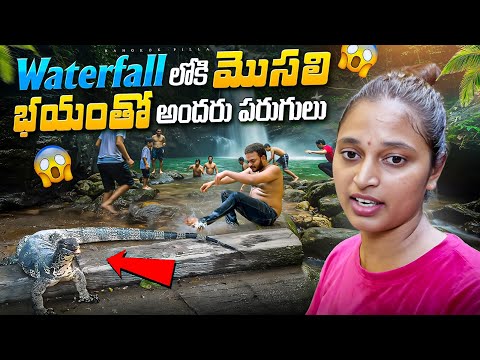 జలపాతంలో రాకాసి బల్లి.. పరుగో పరుగు.. Bangkok Pilla Family Updates  || Bangkok Pilla