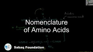 Nomenclature of  Amino Acids