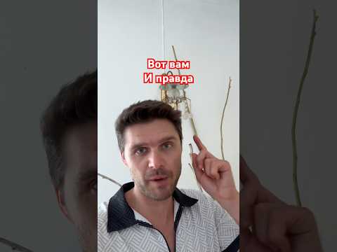 Передайте это видео Полякам. #новости #политика #польша