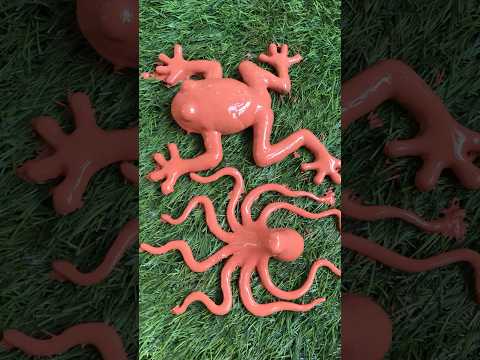 wao 🐙🐸 #animals