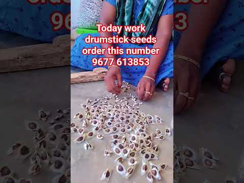 இது ஒரே ஒரு பருப்பு சாப்பிட்டா போதும் #murungaiarasiofficial