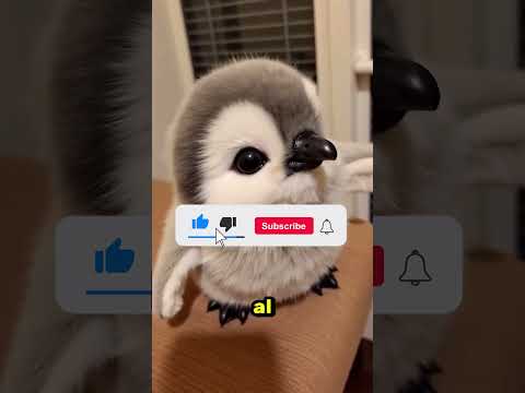 La nitidez de este cuchillo es realmente increíble 😱