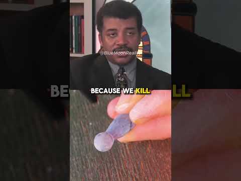 No Neanderthals - Neil deGrasse Tyson
