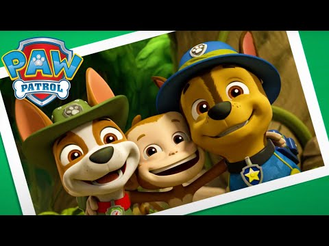 On Holiday with the Pups! - PAW Patrol Episode - Cartoons for Kids