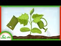 Understanding Fertilizers and Their Impact