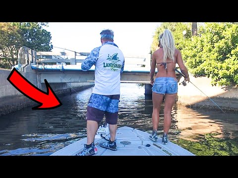 Tossed a Live Shrimp Under a TINY Bridge & You Wont Believe What Happened! (Catch & Cook)