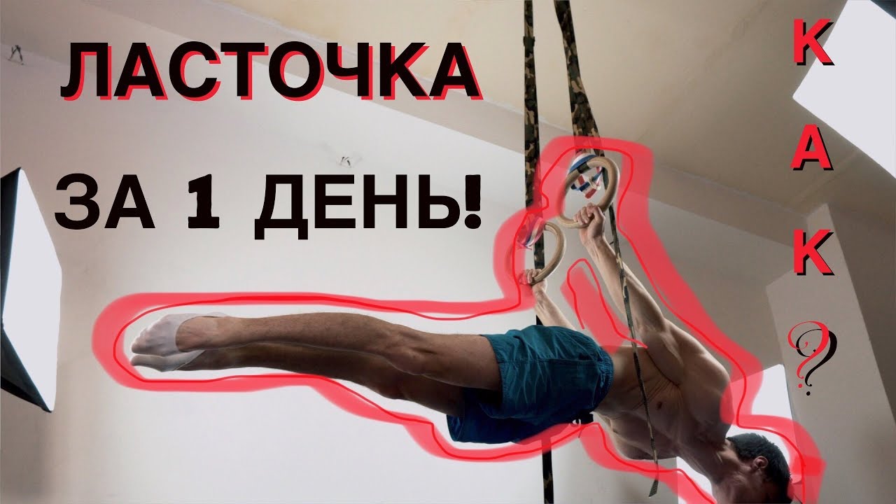 Ласточка! Задний вис за 1 день. (не кликбэйт)