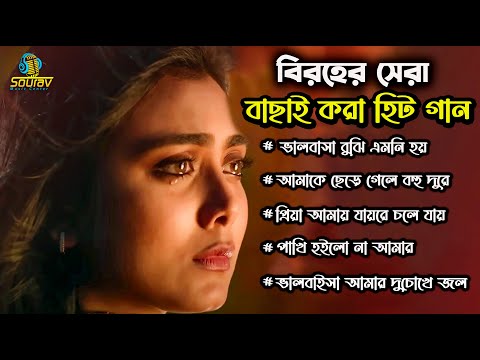 2024 সালের সেরা কিছু দুঃখের গান।New Bangla Sad Song Album Najmul Hasan ।Biroher Gan।Audio Jukebox।