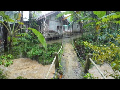 Suasana Pagi Di Kampung Yang Tenang, Hujan Deras Mengguyur Kampung Yang Indah, Pedesaan Jawa Barat