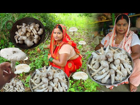 बारिश में बनाएंगे जंगली मशरूम🍄उड़ीसा में बहुत चाव से बनाकर खाया जाता है एक बार आप बनाये Chhatu