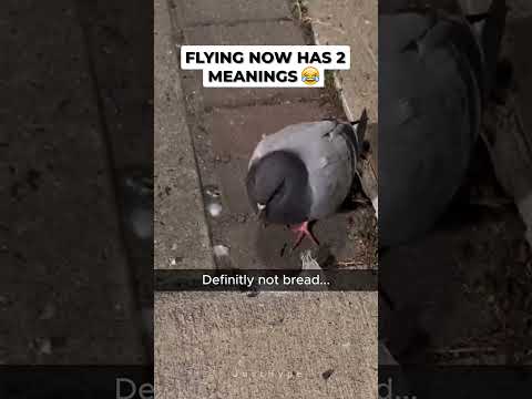 Bro Was Battling Fighter Jets After This 🦸‍♂️