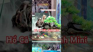 Hồ Cá Tiểu Cảnh Mini #bettasales #ngocdiemaquarium #baoiba #viral