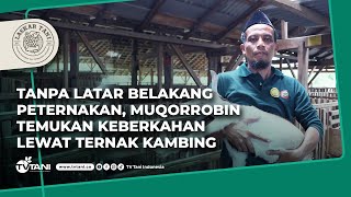 Kisah Hijrah Muqorrobin, Kini Sukses Ternak Kambing Perah