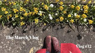The March Vlog | of finding paradise, and many hot bowls of nourishing food