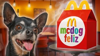 MC DOG FELIZ! RECRIAMOS O MC LANCHE FELIZ PARA NOSSOS CACHORROS!
