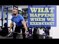 Effects of Exercise on Health