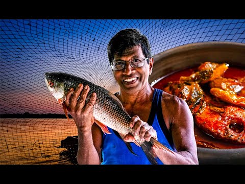 වැවු මාළු එක්ක බත් කමු, Village Fishing & Cooking: HUGE Lake Fish for a Bada's Kitchen Feast!