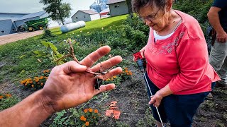 Grandma Is Very Disappointed!! Things Have Gotten Out Of Control!