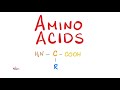Amino Acids and Sickle Cell Disease