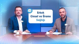 Androloji Nedir? Erkek Sağlığında Doğru Yaklaşım