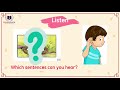 Understanding Themes and Details in a Video