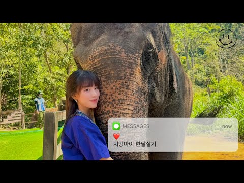 [SUB]🇹🇭코끼리투어🐘정글코스터,치앙마이대학교 야시장,축구,꽃축제(^‿^✿) 태국 스타벅스,맛집,카페추천,액티비티🫧혼자 여행 치앙마이 한달살기 vlog