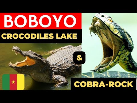 BOBOYO: Discover the beautiful Crocodiles Lake, Cobra-Rock and the Mount Boboyo