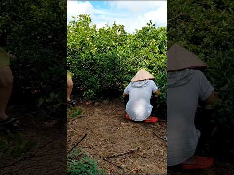 gia đình hạnh phúc #shorts #funny #viralvideo