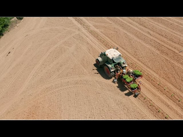 Video Servicios Agrícolas de ImperoAgro