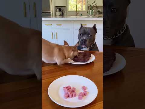 ์น์์๊ฐ ์ด๋ ๊ฒ ๋บ์ด๋จน๋๋ค๊ณ ?? #์ผ์ธ #๊ฟํ
#funny #food #shorts