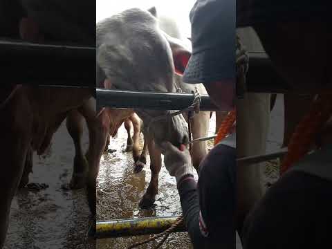 Take Care Everyone #viralvideo #short #shortspeed #highlights #subscribe